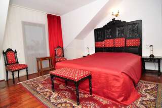 Отели типа «постель и завтрак» Bed & Breakfast Popamuseum Tarpesti- Tîrpeşti Двухместный номер с 2 отдельными кроватями-4
